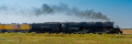 SON02132